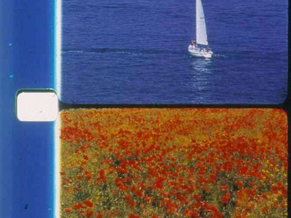 © Poppies and Sailboats (Rose Lowder, 2001)