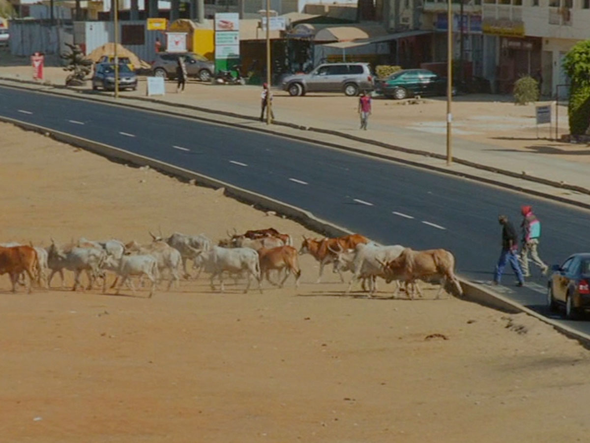 © Mille soleils (Mati Diop, 2013)