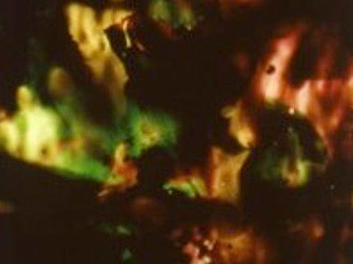 © Dark Night of The Soul (Stan Brakhage)