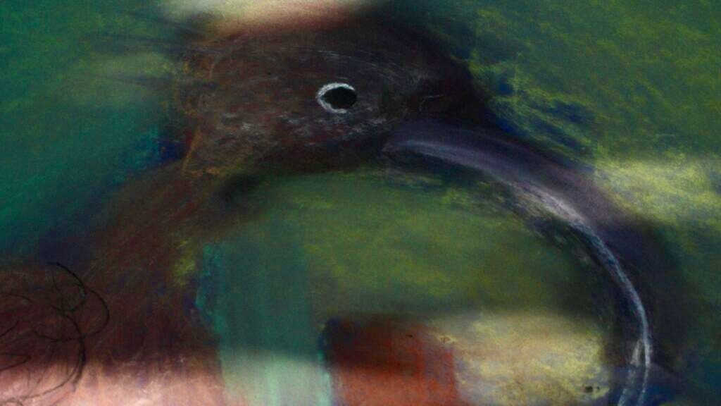 © praten met olifanten (Juul Schöpping, 2025)